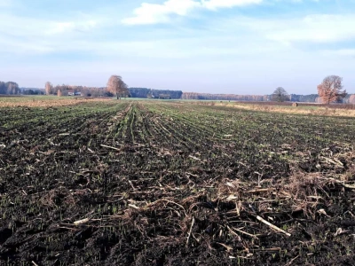 Nowe limity kredytów preferencyjnych ARiMR. Ruszyło wsparcie na inwestycje i zakup ziemi