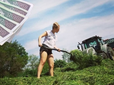 Składka zdrowotna rolników 2026 w górę. Ile trzeba będzie płacić od kwietnia?