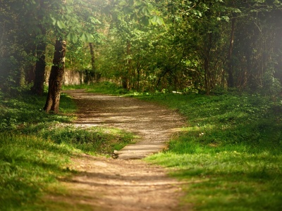 Rodzinny azyl blisko natury: Dlaczego Las Woda to idealne miejsce na wypoczynek z dziećmi?