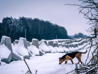 Rzecznik Wojska Polskiego dla SmogLabu: przyroda jest naszym sojusznikiem