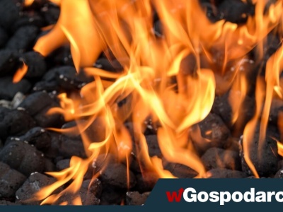 Kopciuchom mówimy „tak”! Decyduje ekonomia, a nie smog