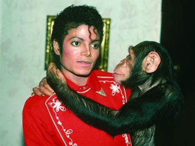 Gdzie jest szympans Michaela Jacksona? Ma 43 lata i pojawił się w nowym filmie