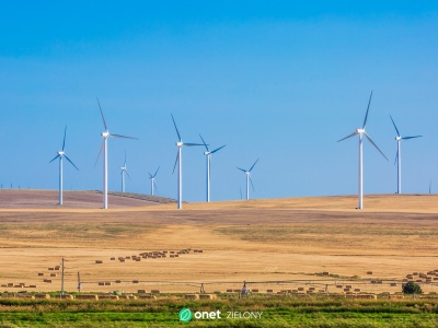 Sąd po raz piąty blokuje działania administracji Trumpa. Morskie farmy wiatrowe wracają do gry