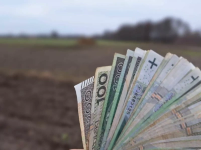 Dopłaty bezpośrednie: na jakim etapie wypłata i jakich dokumentów brakuje?
