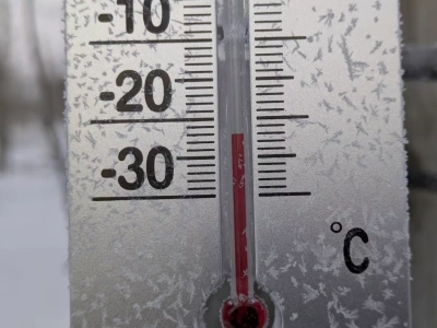 Noc nawet do -30°C. Czy najgorsze już za nami? Co tak silny mróz oznacza dla plantacji jagodowych?
