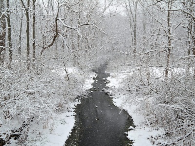 Silne mrozy w woj. lubelskim. Ostrzeżenia IMGW, miejscami nawet do –26°C
