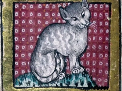 Koty palono, torturowano i wyśmiewano. Średniowieczna prawda szokuje