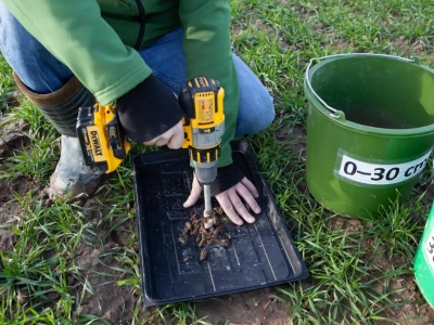 Wyniki analizy gleby: jak policzyć azot mineralny?
