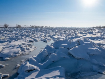 Zaskakujące skutki mroźnej zimy. 