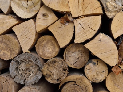 W mieście takie drewno może przysporzyć kłopotów. Właściciele muszą to wiedzieć