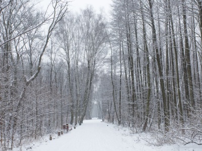 Walczą z nielegalnymi rajdami na quadach. Urząd wspiera mieszkańców 