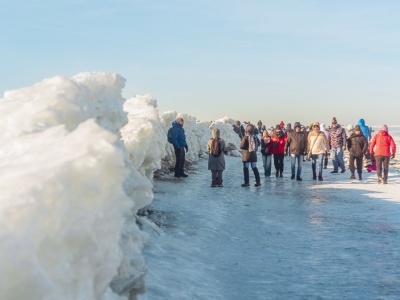 To może być pierwszy taki rok w Polsce od dawna. Wszystko dzięki mrozom