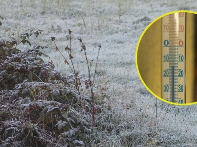 Za mroźną zimę zapłacą klienci. Rolnicy nie ukrywają czarnego scenariusza