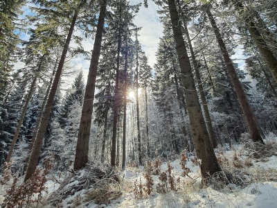 ZPP o problemie braku UPUL-i