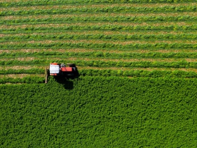 Koniec z umową „na słowo”? Izby Rolnicze ostrzegają przed paraliżem na wsi