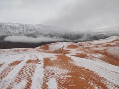 Biała Sahara. Niecodzienne obrazki z największej pustyni świata