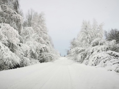 IMGW ostrzega przed gołoledzią we wszystkich 16 województwach
