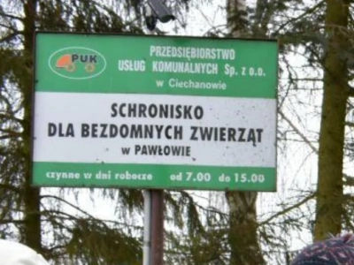 Wolontariusze spotkali się z prezydentem Ciechanowa ws. schroniska w Pawłowie. Wydali oświadczenie