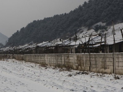 Ekstremalna sytuacja w Korei Północnej. Ludzi nie stać na leki