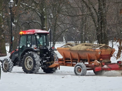 Naczelnik wydziału dróg odpowiada na krytykę zimowego utrzymania chodników. „Cudów nie będzie, są granice fizyki i przepisów”