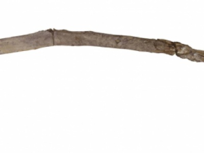 W Grecji odkryto najstarsze znane drewniane narzędzia używane przez człowieka