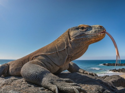 Takich treści jest w sieci coraz więcej. Trudno odróżnić prawdę od fikcji