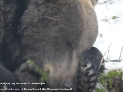Nagranie z Bieszczad stało się prawdziwym viralem. Ponad 140 tys. wyświetleń