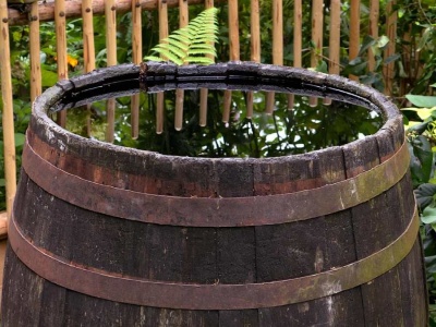 Łap deszczówkę. Państwo dopłaci do zbiorników