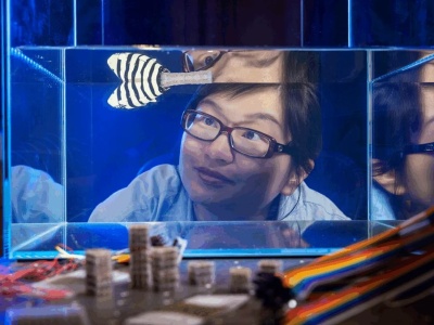 Programowalne „klocki” z Duke University. Materiał, który zmienia charakter na żądanie