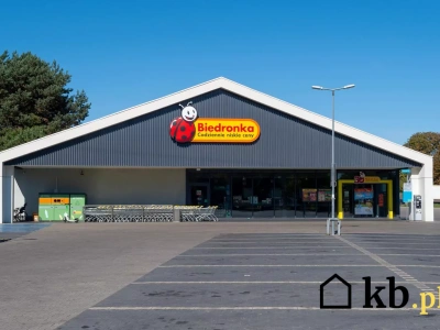 Słynna zielona kawa pojawiła się w Biedronce w doskonałej cenie