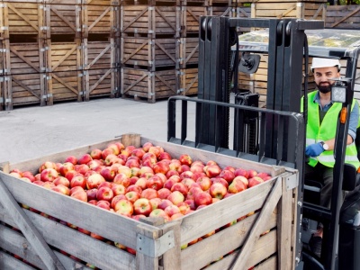 Praca fizyczna to wybór, a nie konieczność. Firmy, które nie zareagują, będą tracić ludzi