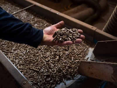 Alarm na rynku opału. Brak pelletu uderza w ekologiczne ogrzewanie