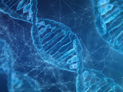 Niezwykła struktura i-motif DNA reguluje geny i procesy nowotworowe. To obiecujący kierunek rozwoju leków