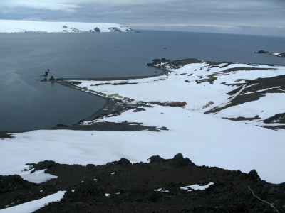 Ekstremalna trawa. Jak wiechlina roczna zmienia życie w Antarktyce