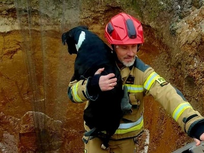 Pies w wykopie. Strażacy ruszyli z pomocą
