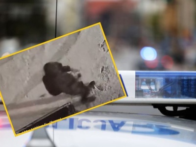 Kocięta w foliowych workach w kontenerze na śmieci. Bulwersująca historia