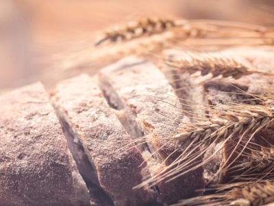 Czym jest pradawna pszenica i dlaczego zyskuje taką popularność? Zboże sprzed wieków ma wyjątkowe właściwości