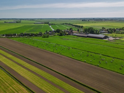 Właściciel sprzedał pole, które dzierżawisz? Dowiedz się, czy musisz je oddać