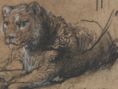 Szkic Rembrandta przedstawiający lwa sprzedany za rekordowe 17,86 mln dolarów