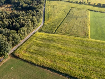 Państwo zabiera część działki, a reszta traci wartość. Właściciele zostają z problemem
