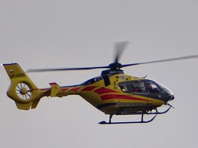 Dramat podczas wycinki drzew. Nie żyje młody mężczyzna