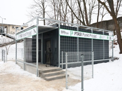 Ptasi Punkt Przyjęć już działa. Pomoc dla dzikich ptaków 24 h/dobę