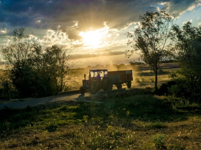 66% rolników bez pieniędzy na modernizację. Mercosur może dobić europejskie gospodarstwa