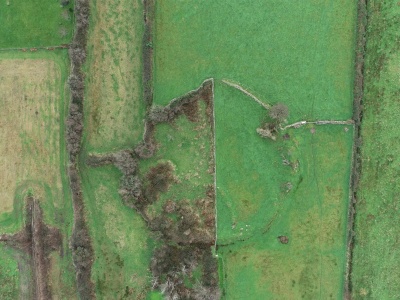 Irlandzkie opowieści ludowe odsłoniły zapomniane miejsca pochówku dzieci