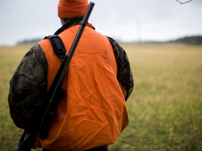 Gwałtowne hamowanie pociągu PKP Intercity! Na torach stali… myśliwi z bronią