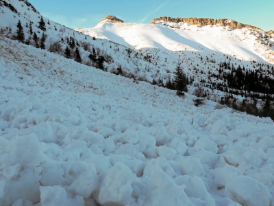 Lawina porwała dwóch turystów w Tatrach. Policja wydała komunikat
