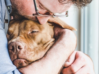 Ludzki lek groźny dla zwierząt domowych. Jest decyzja UE i komunikat polskiego urzędu
