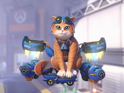 Niektóre skórki do Jetpack Cat z Overwatch będą inspirowane kotami stworzonymi przez twórców