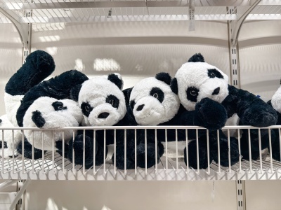 Ginie zabawka, cała rodzina w stresie. 