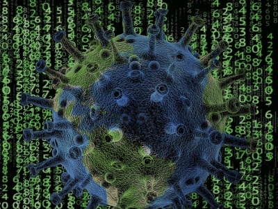 Pandemiczny absurd znów w natarciu? W Krakowie „ograniczenia” z powodu… jednego przypadku ptasiej grypy